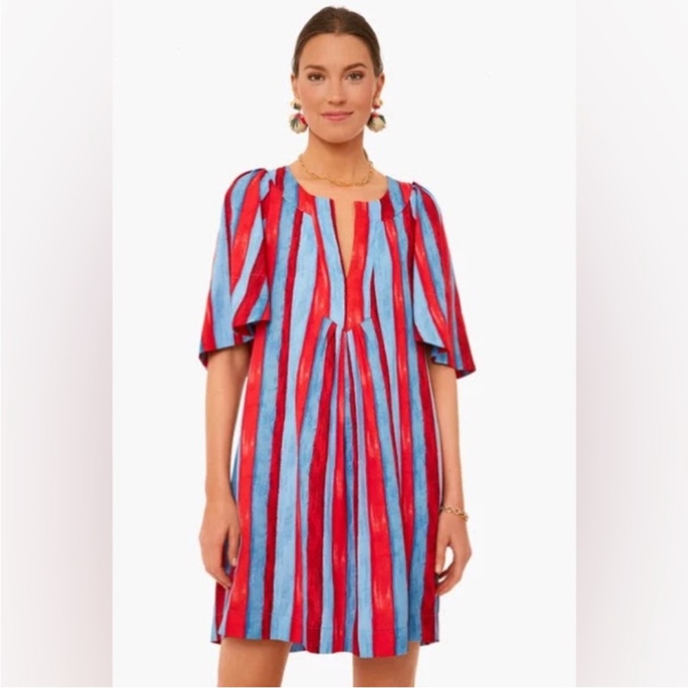 Tuckernuck Red and Light Blue Vertical-Striped Mini Dress